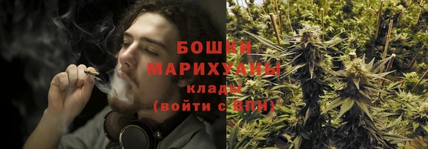 spice Арсеньев