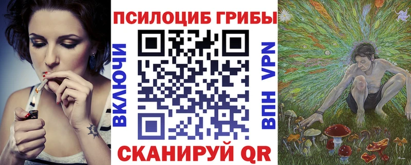 Псилоцибиновые грибы прущие грибы  блэк спрут как зайти  Давлеканово 
