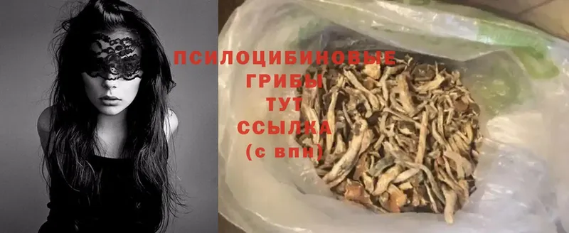 Псилоцибиновые грибы Psilocybe  Давлеканово 